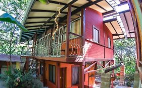 Coyote Rooms